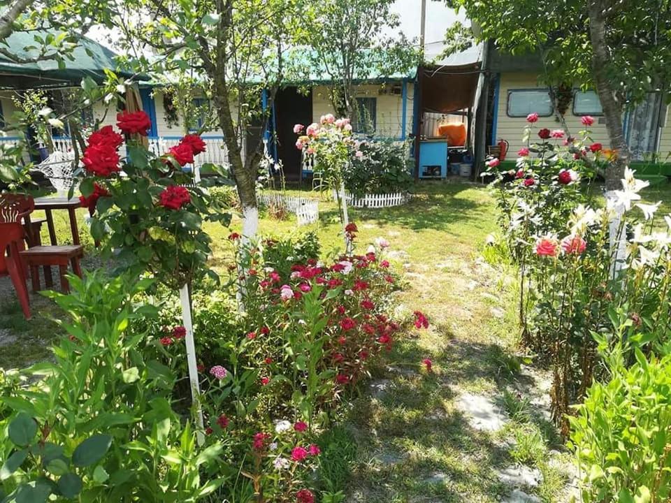 Camping Casuta Mihaela Crisan  Luaran gambar