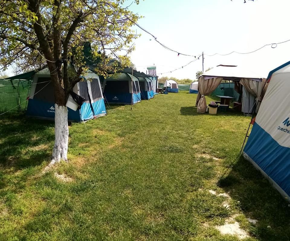 Camping Casuta Mihaela Crisan  Luaran gambar