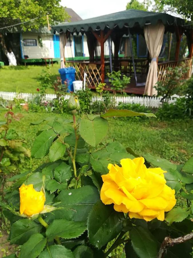 Camping Casuta Mihaela Crisan  Luaran gambar