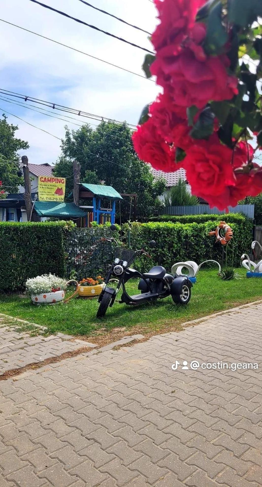 Camping Casuta Mihaela Crisan  Bilik gambar