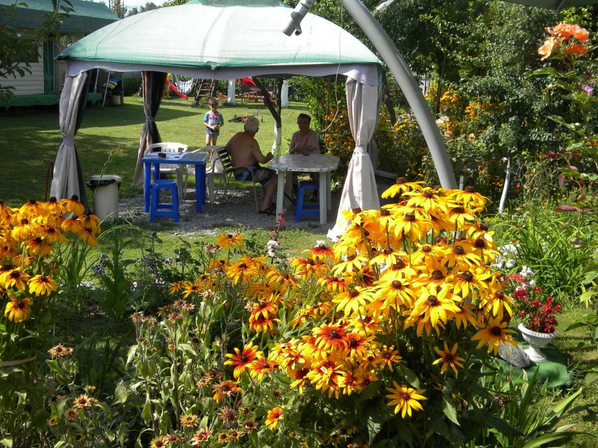 Camping Casuta Mihaela Crisan  Luaran gambar